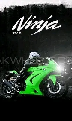 Kawasaki Ninja 250R 2011 for Sale Image-1