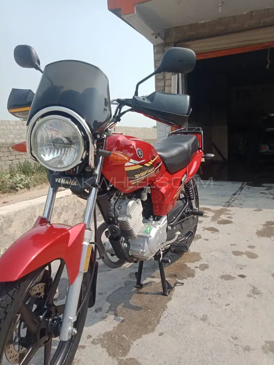 Yamaha YB 125Z-DX 2022 for Sale Image-1