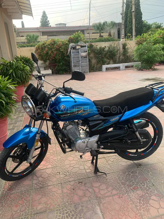 Yamaha YB 125Z-DX 2022 for Sale Image-1