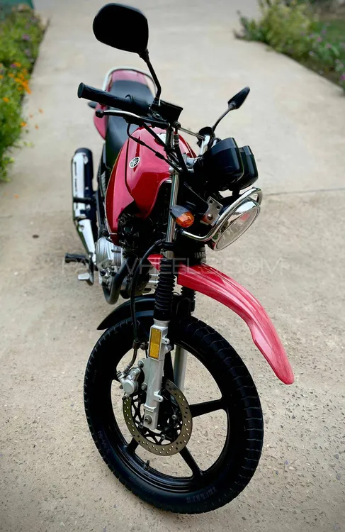 Yamaha YBR 125 2019 for Sale Image-1