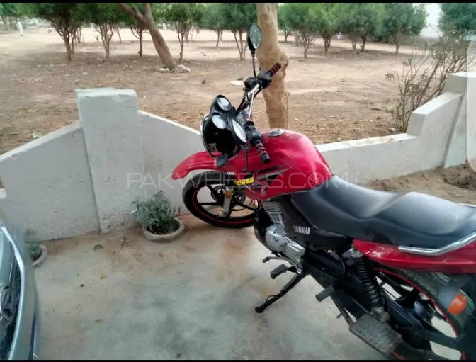 Yamaha YBR 125 2019 for Sale Image-1