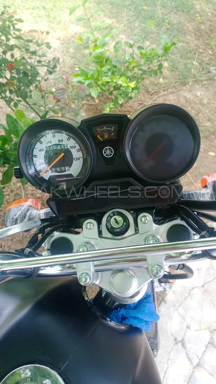 Yamaha YB 125Z-DX 2023 for Sale Image-1