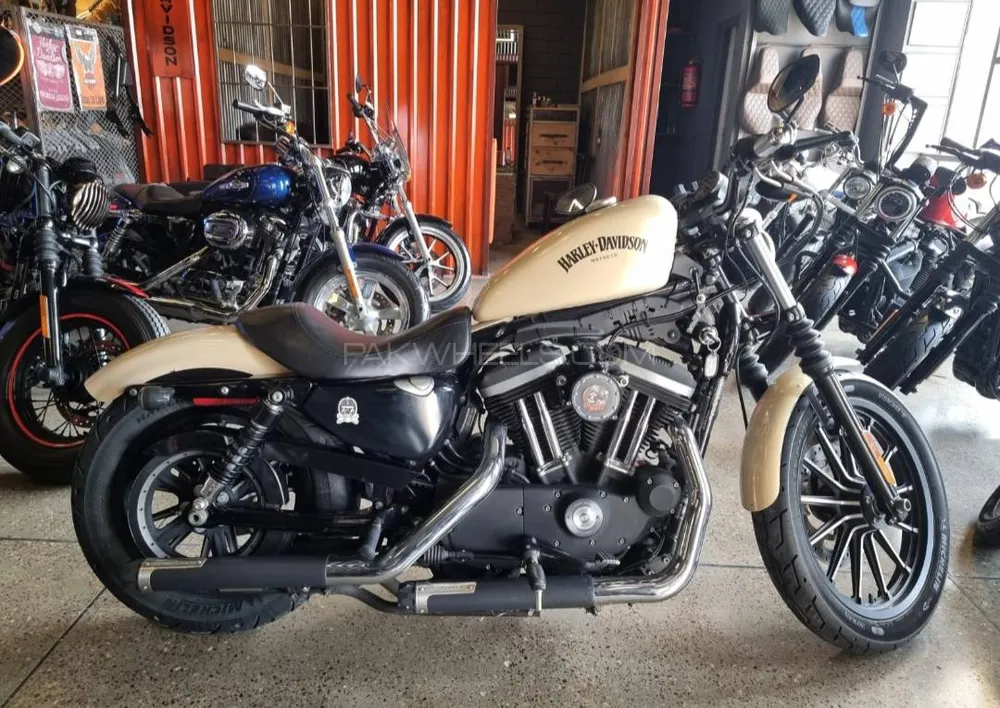 Harley Davidson Iron 883 2024 for Sale Image-1