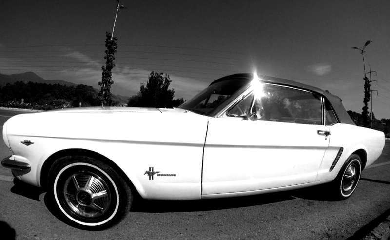 Ford Mustang - 1969  Ford Mustang - 1969  Image-3