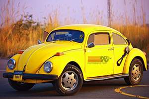 Volkswagen Beetle - 1963