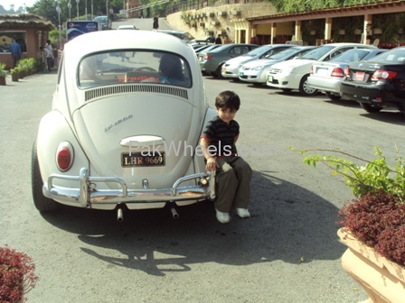 Volkswagen Beetle - 1967 zikki Volkswagen Beetle - 1967 zikki Image-2