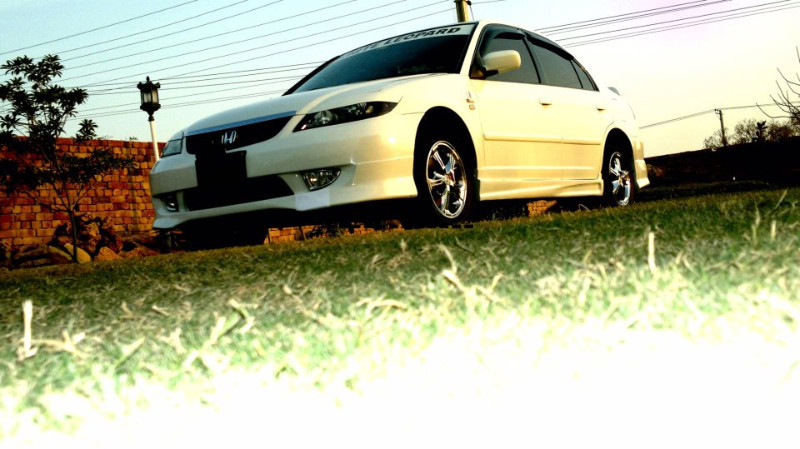 Honda Civic - 2006 WHITE LEOPARD Image-1
