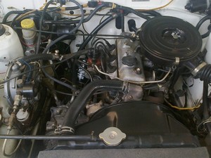 Toyota Corolla - 1982