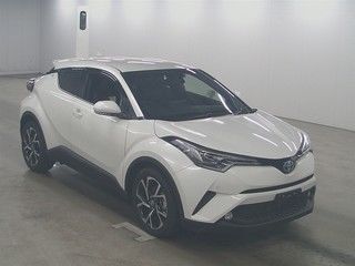  Image-1