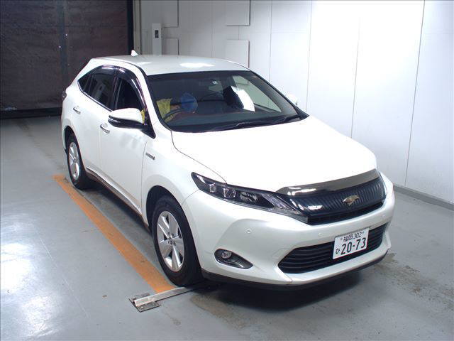  Image-1