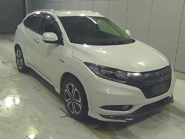  Image-1