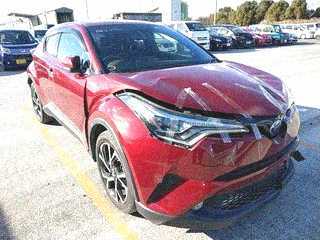  Image-1