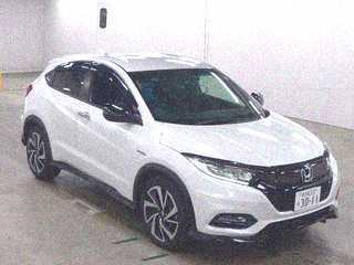  Image-1