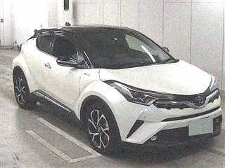  Image-1