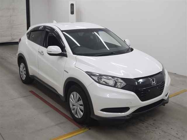  Image-1