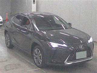  Image-1