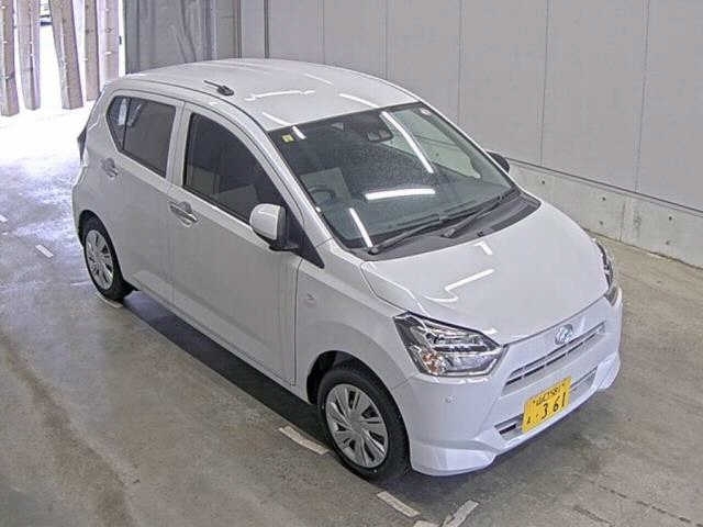  Image-1