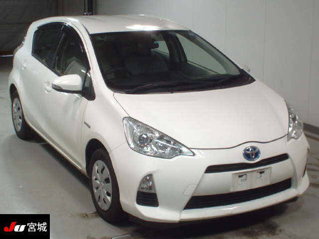  Image-1