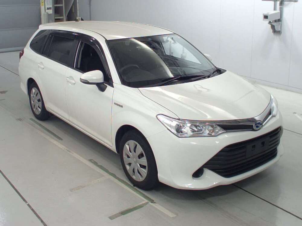  Image-1