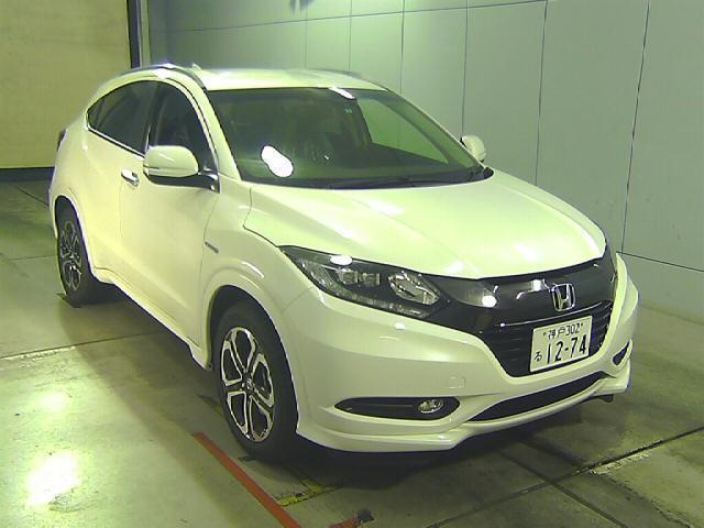  Image-1