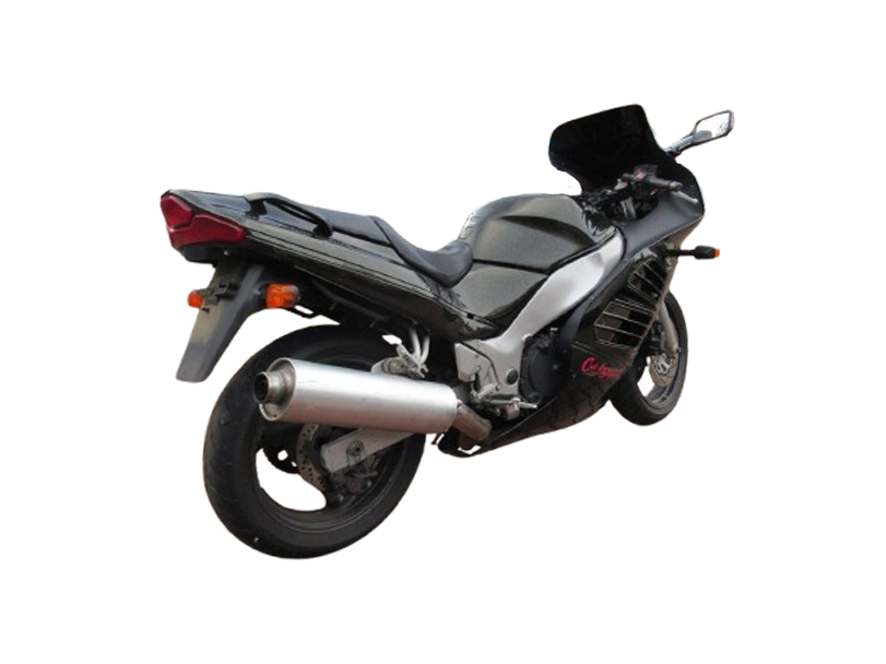 Suzuki RF600 