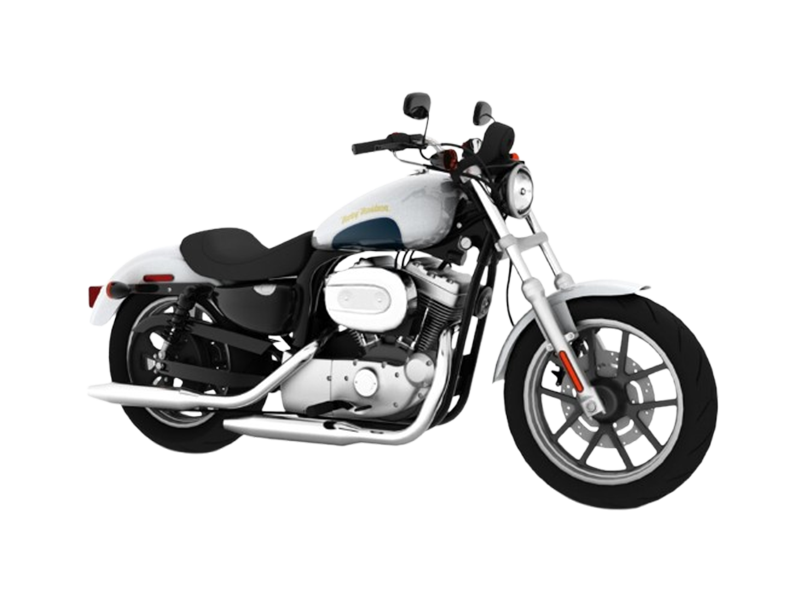 Harley Davidson 1200 Custom Cover