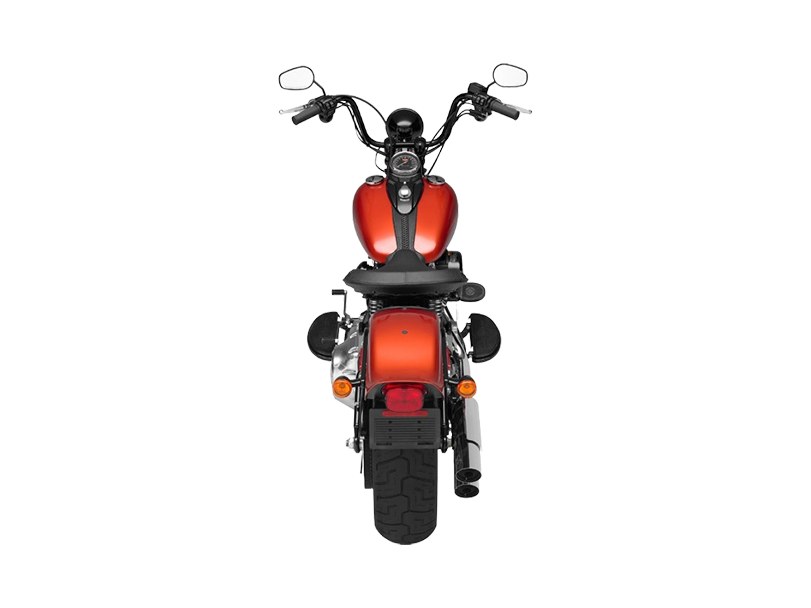 Harley Davidson Cross Bones 