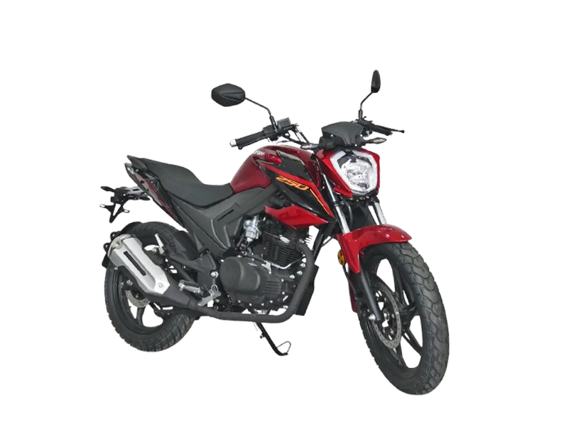 Lifan 250 Cover