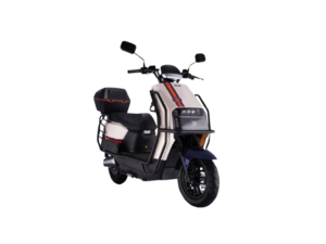 New SAIGE N21