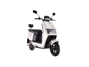 New SAIGE N300