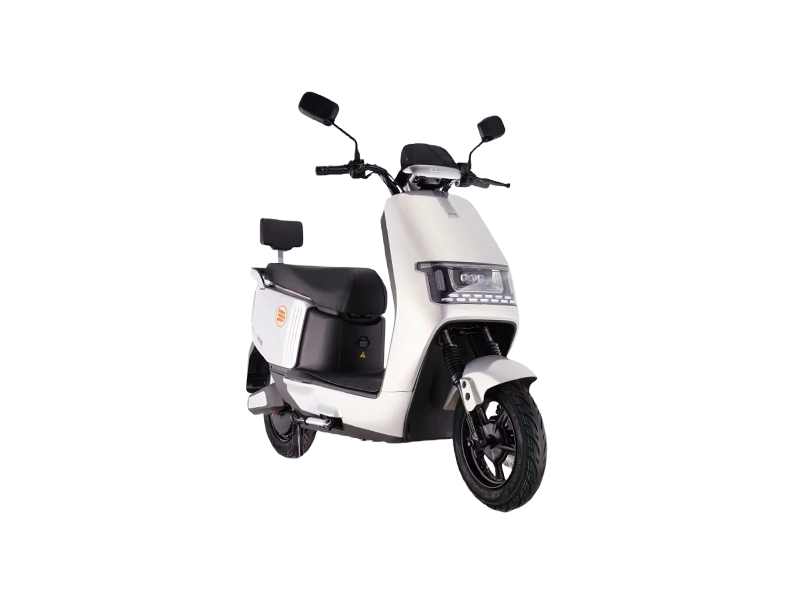 SAIGE N300 Cover
