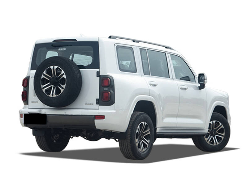 Haval H9 Exterior Side Rear View