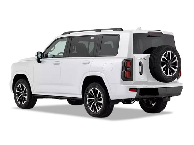 ہیول Raptor Exterior Rear Side View