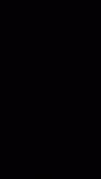 Zain Car Lines